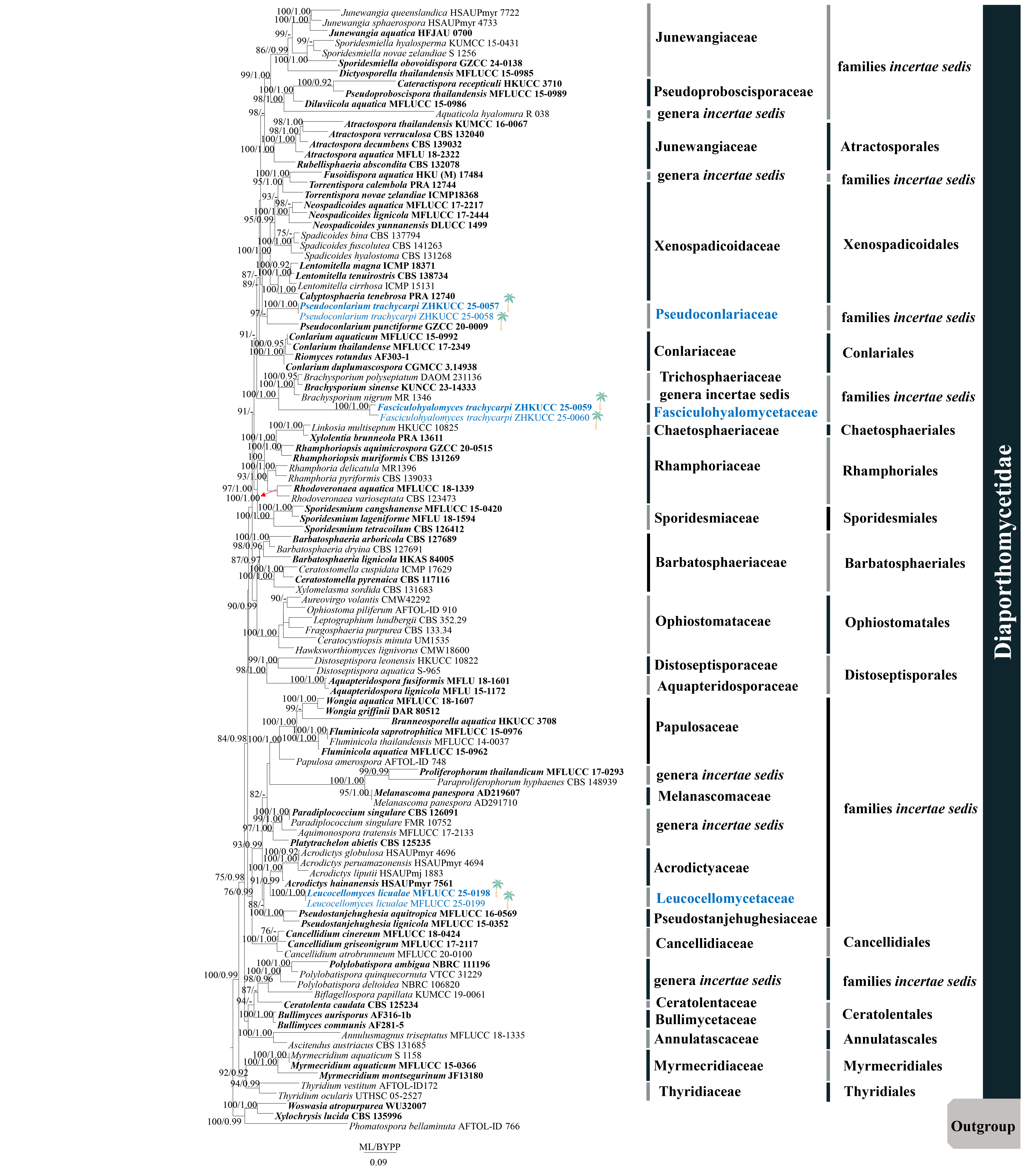 Figure 135
